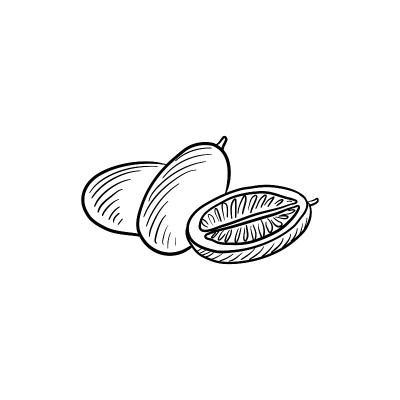 金橘，矢量水果素描