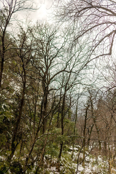白雪覆盖着雄伟的喜马拉雅山冬季景观