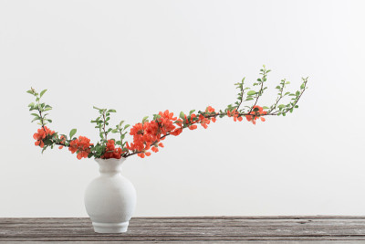 白花瓶里的木瓜