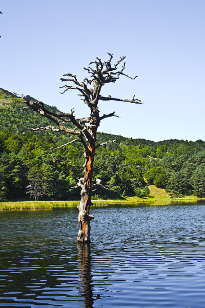 山湖