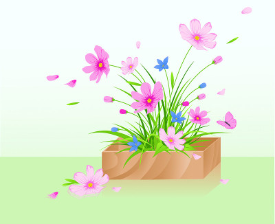 带花木盒