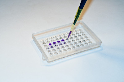 在生物研究实验室里。