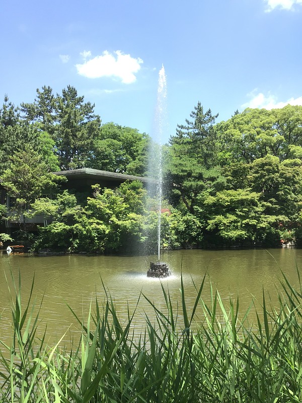 名古屋鹤间公园花园