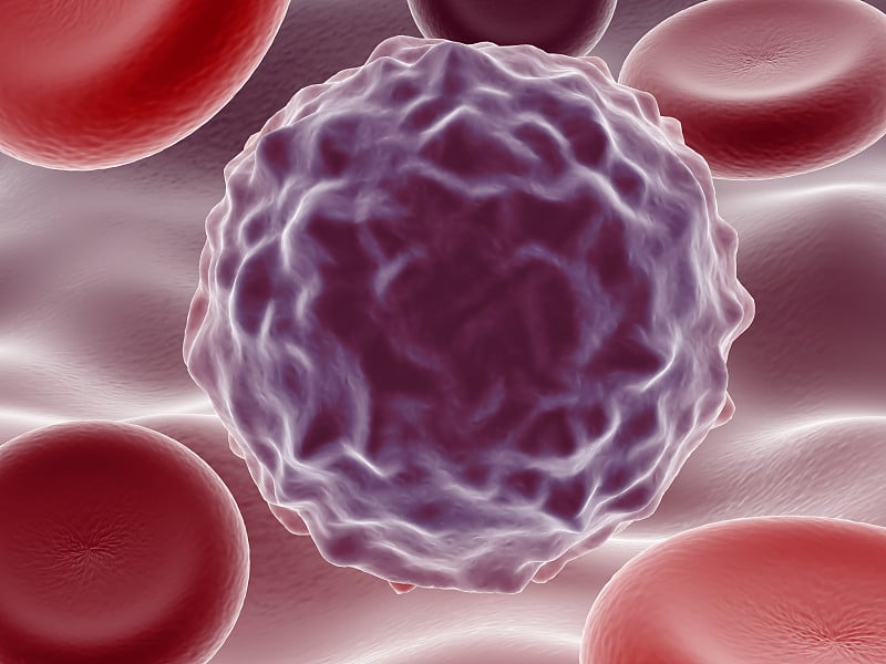 Novel respiratory Coronavirus 2019-nCoV that cause