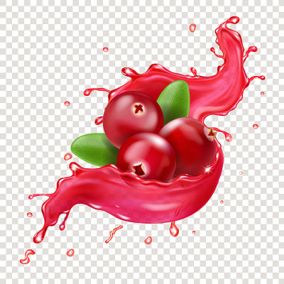 蔓越莓汁喷溅。甜莓现实的矢量插图