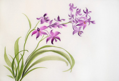 野生紫兰花