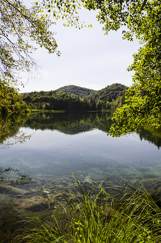 在Plitvice湖公园，湖面上森林的倒影