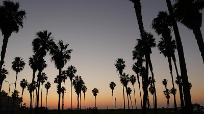 棕榈树的剪影和人们在日落时走在海滩上，加利福尼亚海岸，美国