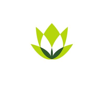 Lotus图标