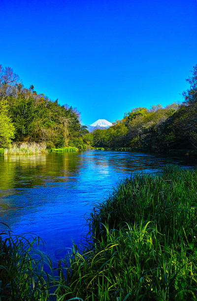 清晨，卡基塔河和富士山