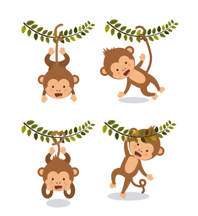 cute monkey design
