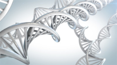 DNA分子