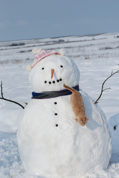 雪人