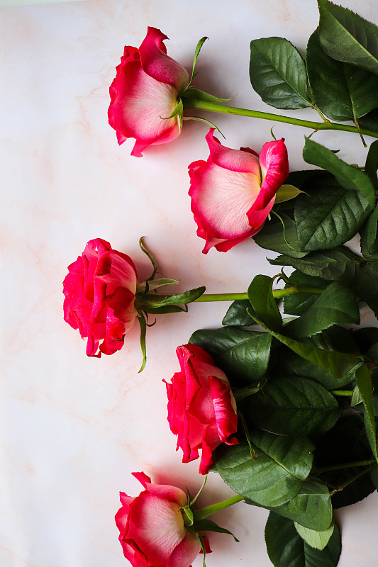 bouquet of pink roses