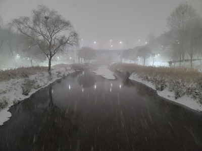 冬夜景色一片大雪