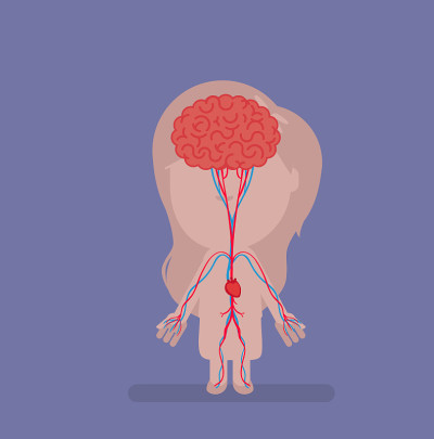 Human body anatomy vector illustration