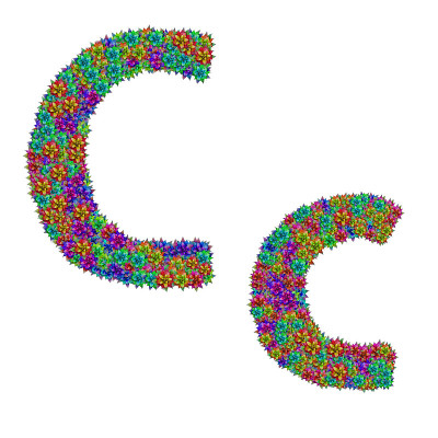 由凤梨花制成的字母C