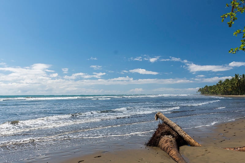 Bahia Ballena Pacifico Sur de Costa Rica