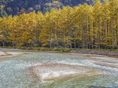 長野県　上高地　紅葉の六百山と梓川