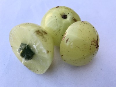 印度醋栗，余甘子