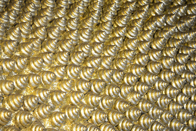 亚洲泰国曼谷wat pho