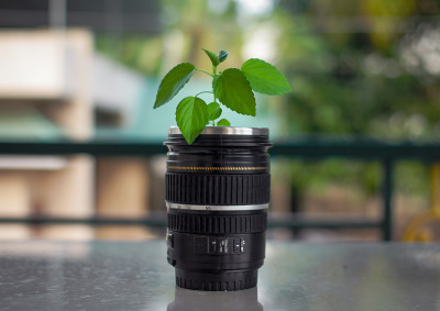 Let your passion grow.