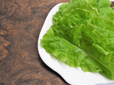 韩国lettuce8