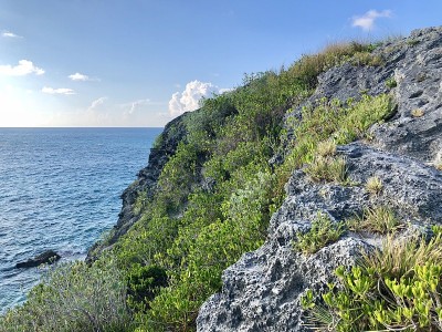 百慕大马蹄湾的悬崖
