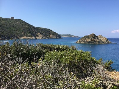 横岛港