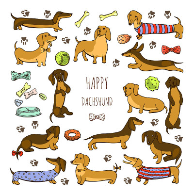 一套狗腊肠犬插图