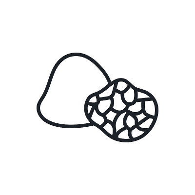 黑松露图标。矢量孤立的线性图标轮廓形状轮廓。细线。现代字形设计。蘑菇。食品配料。