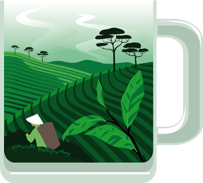 泡一杯茶
