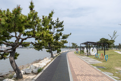 Gyeongpoho湖轨迹