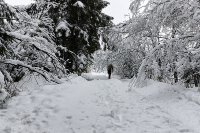 在森林里大雪中行走的人