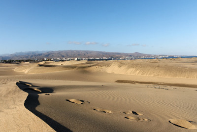 沙丘在Maspalomas