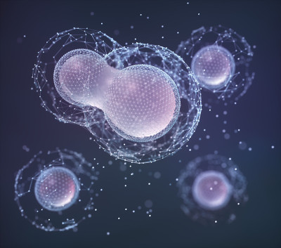 生物技术科学与分子技术