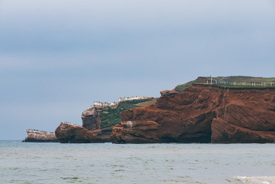 有鸟的海岸悬崖