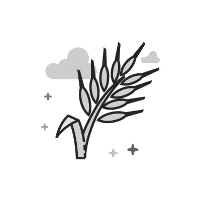 平坦的灰度图标-小麦