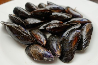 贻贝洗净，准备煮海鲜