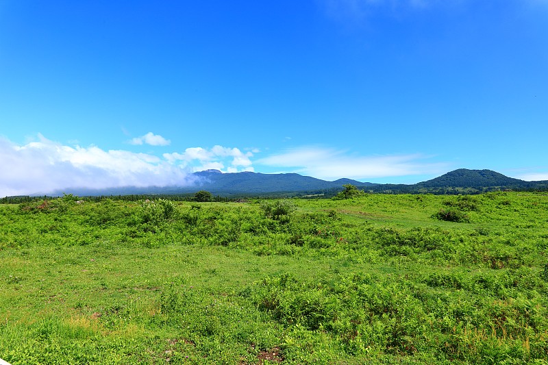 马场、马场、牧场、鸟草、汉拿山、草甸、田野、夜景、