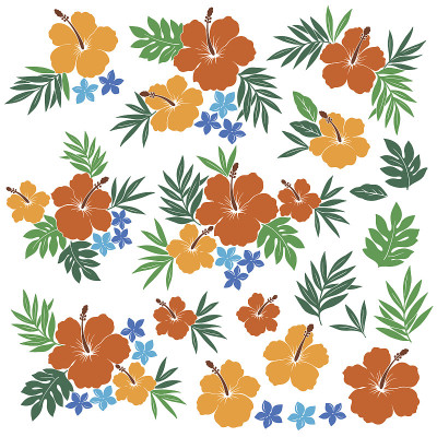 芙蓉花插图