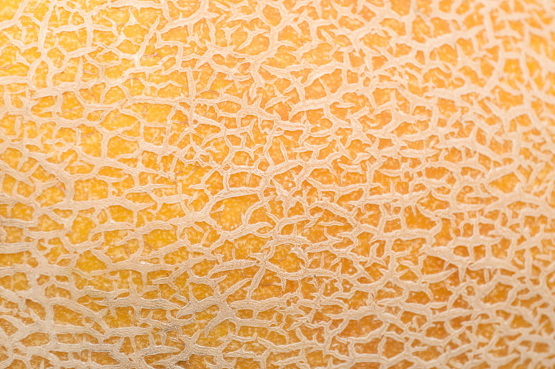 整个美味的成熟瓜作为背景，特写