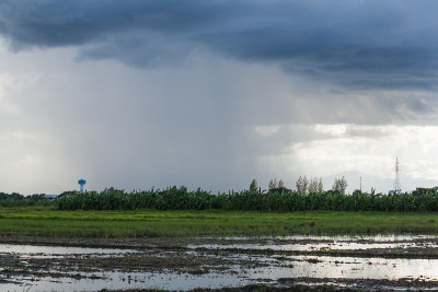 来雨