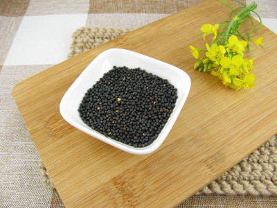 油菜籽和油菜花