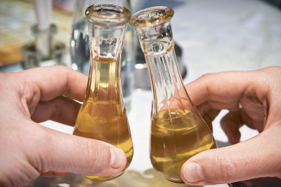 传统塞尔维亚水果白兰地- rakija (rakia)