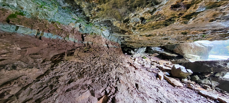 尼亚加拉峡谷自然保护区