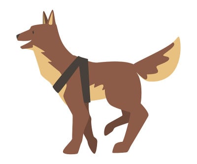 导盲犬，特别训练导盲犬卡通矢量插图