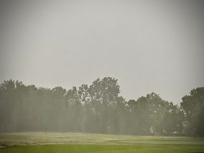 大雨