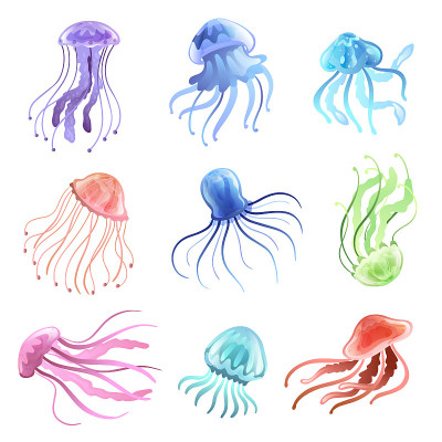 水母组，美丽的彩色游泳海洋水下生物矢量插图