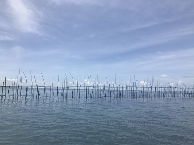 和平
